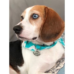 Meet your Posher, Madeleine